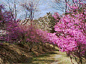 ���n���ˌ�����