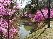 ���n���ˌ�����