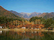 ���H�̑���΁�