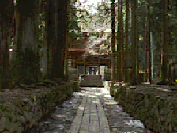 �������؂ƎQ����