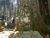 ���������c���N���{����