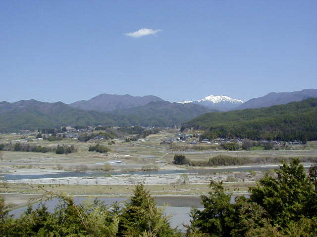 ���V����ƒ����]�ށi�Ԑ{�ɂāj��