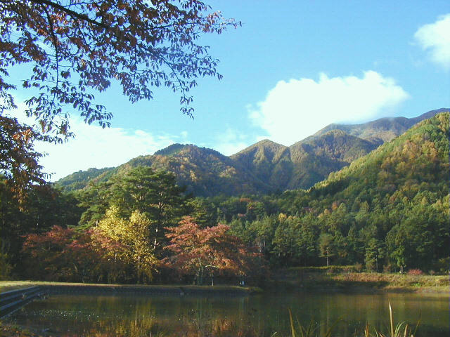 ◆大沼湖の秋◆