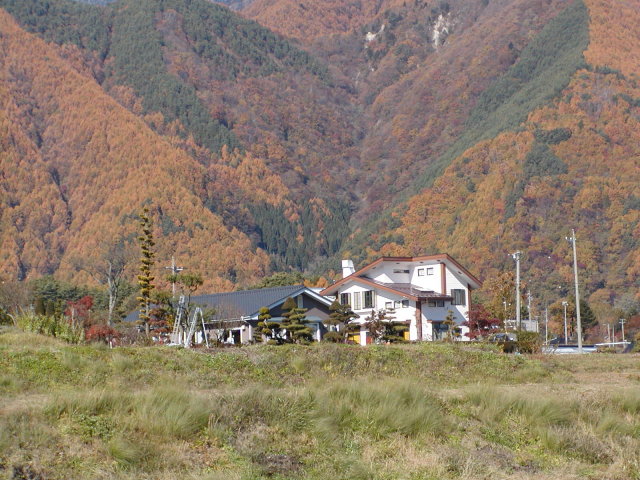 ◆PINE HILLの秋◆