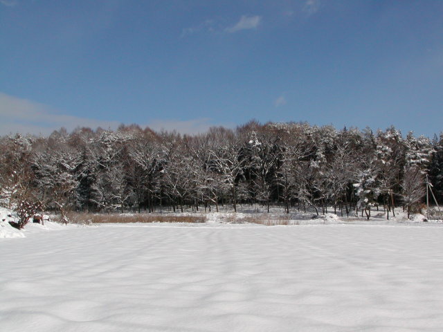 ◆雪の朝◆
