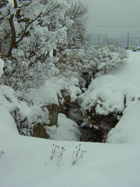 ◆降り積む雪◆