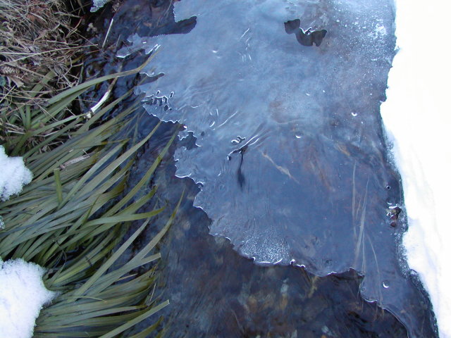 ����ʂ̕X��