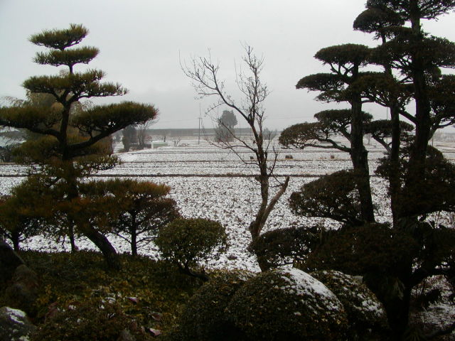 ◆春の淡雪◆