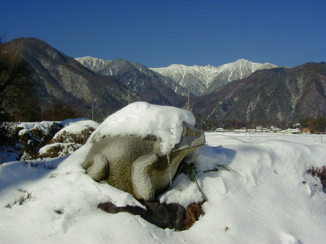 ◆木戸先のカエル◆