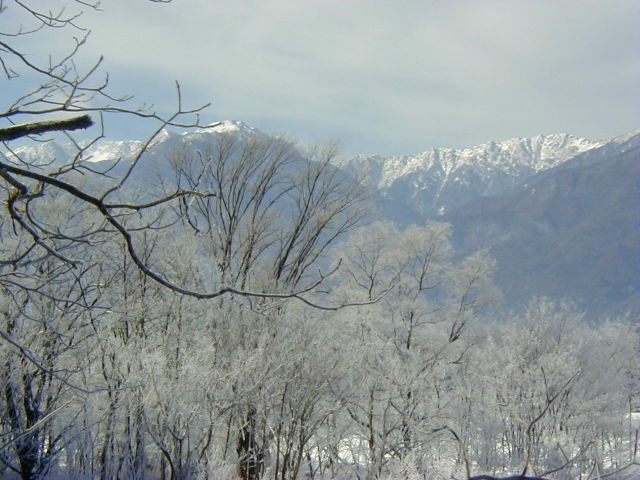 ◆天竜川の霧氷◆