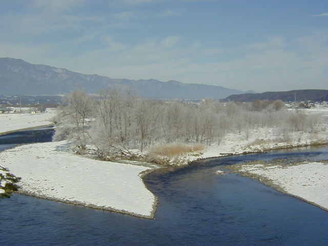 ◆天竜川の中洲◆