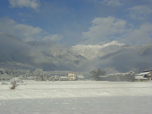 ◆雪原に朝霧◆