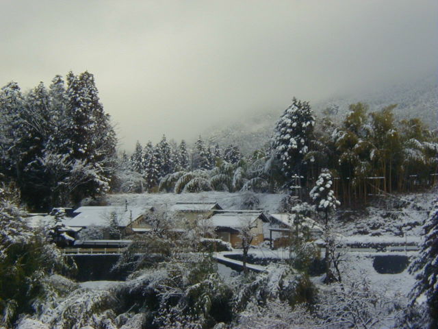 ◆重たい雪◆