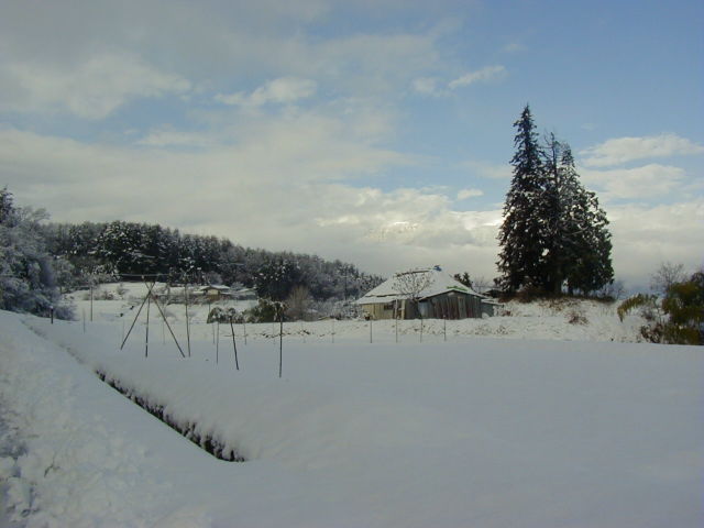 ◆雪原に青い雲◆