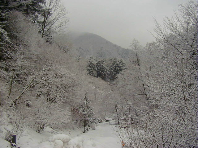 ◆雪景色その2◆