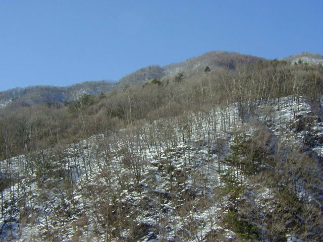 ◆春を待つ山肌◆