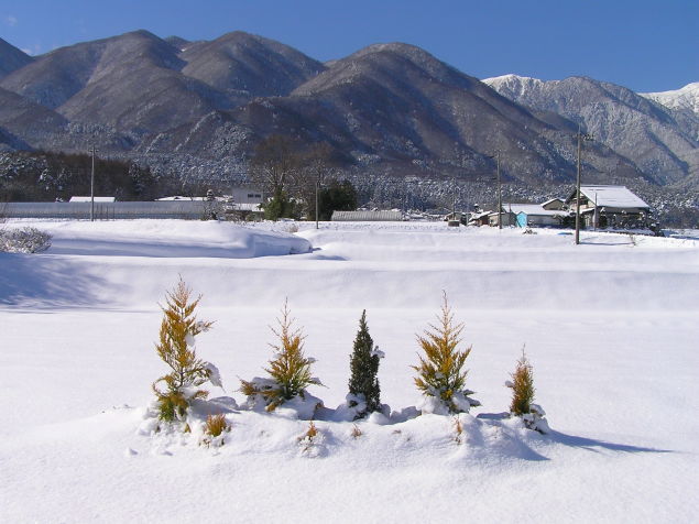 ◆吹雪の後◆