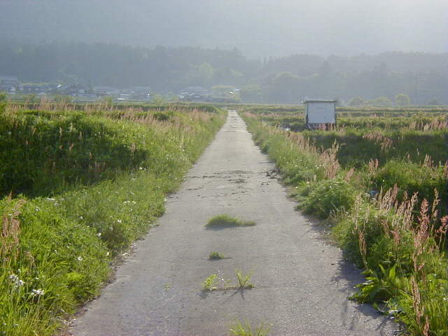 ◆スイコンボウの咲く頃◆