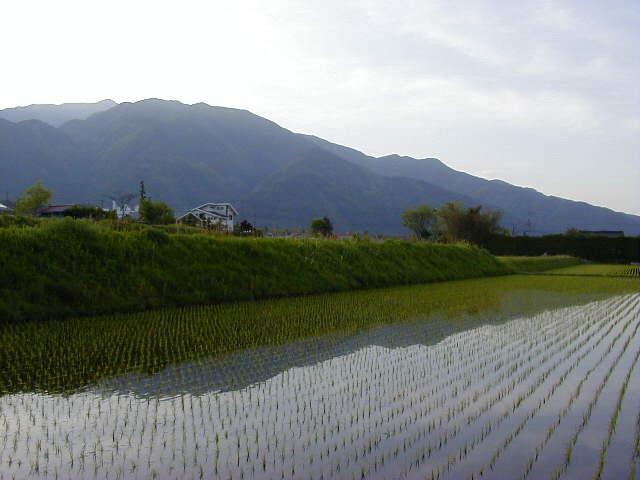 ◆五月、黄昏時◆