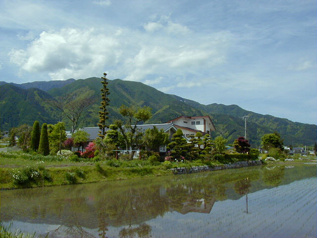 ◆田植え◆