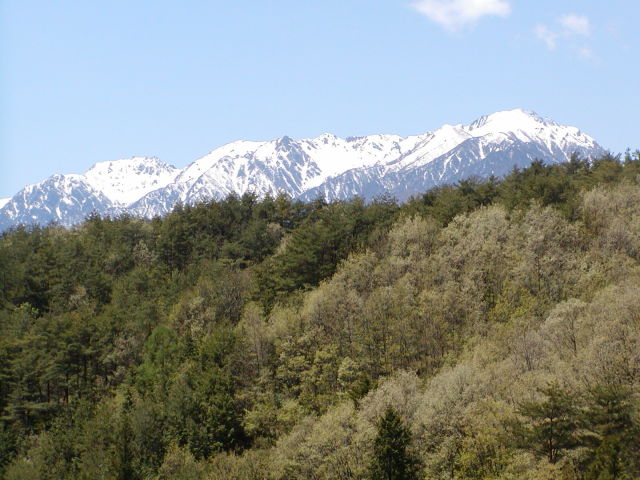 ◆新緑の山◆
