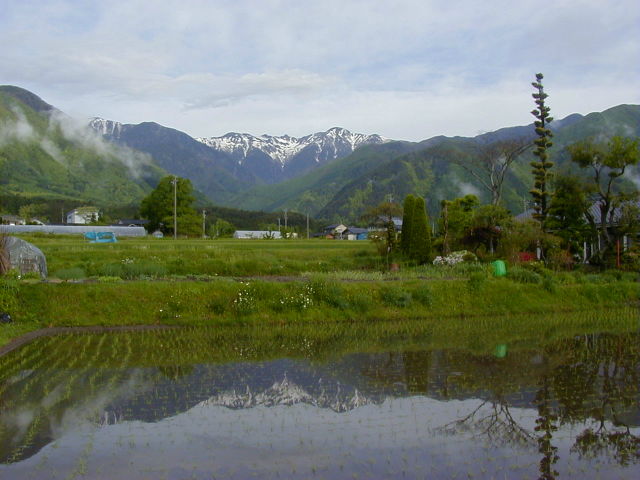 ◆田植え後の水鏡(中央アルプス)◆