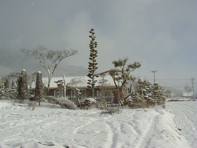 ◆3月25日の雪◆