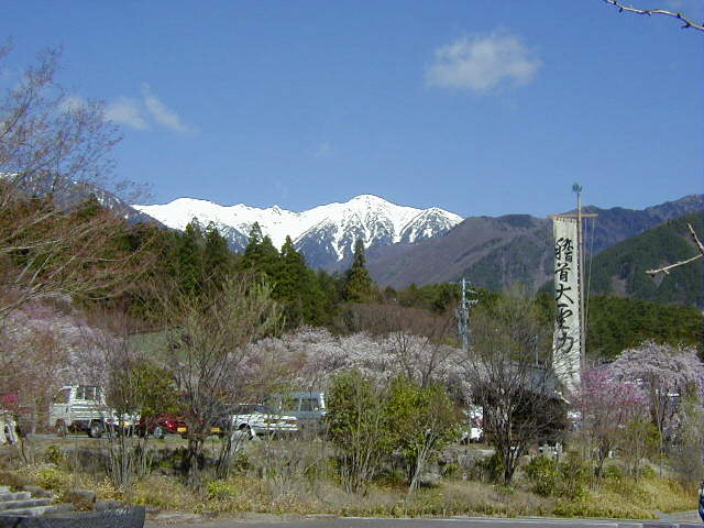 ���Ղ�̊����g���遟