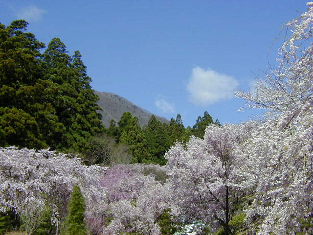 �����炭��