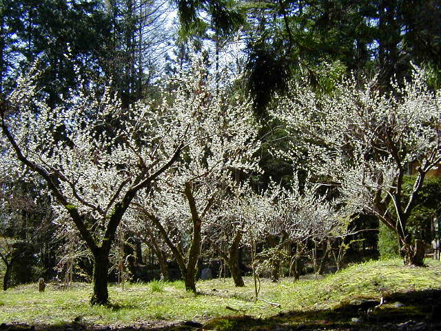 ���~���炭��