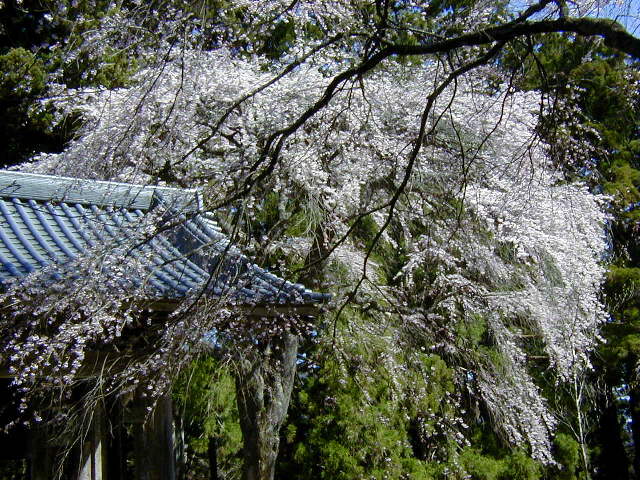 �����O�Ǝ}������