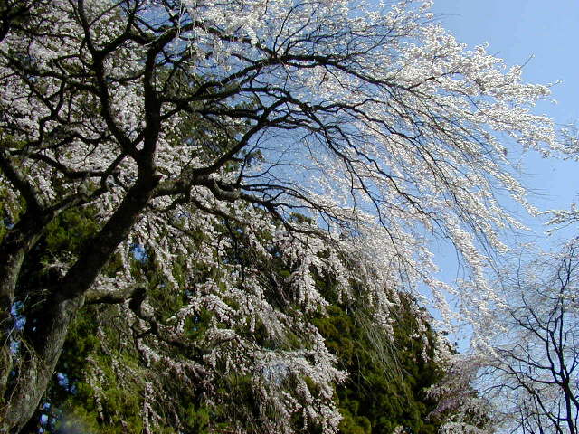 ���}������