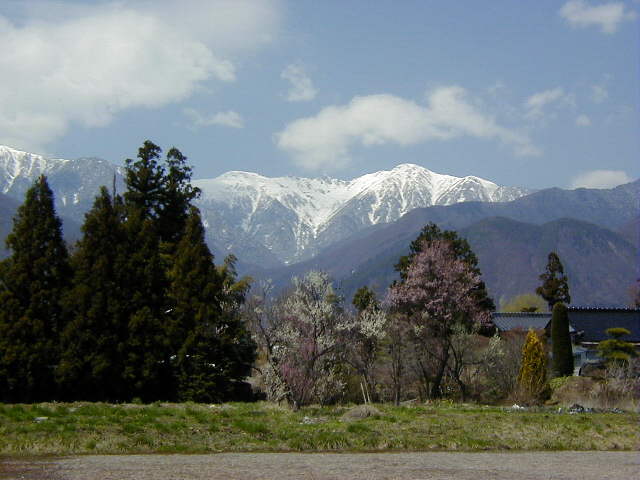 ���~�̉ԍ炭�i�k���ɂāj��