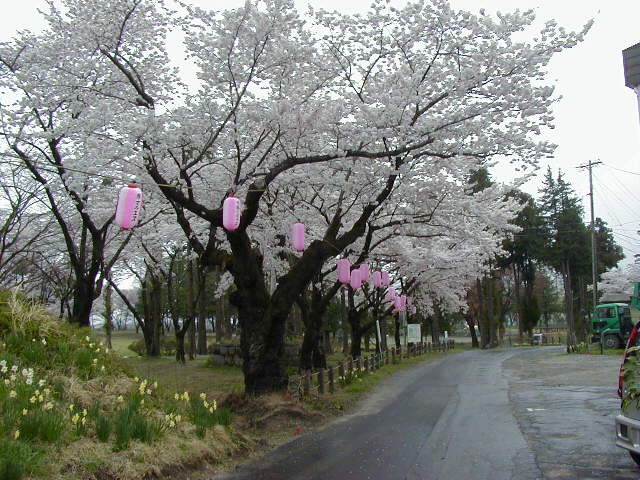 �����y�������̍�(�k���ɂāj��