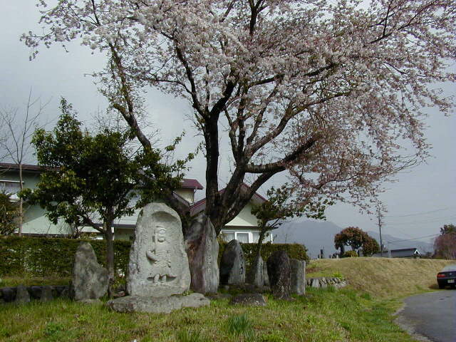 ���s�������̓��c�_�l(�����ɂāj��