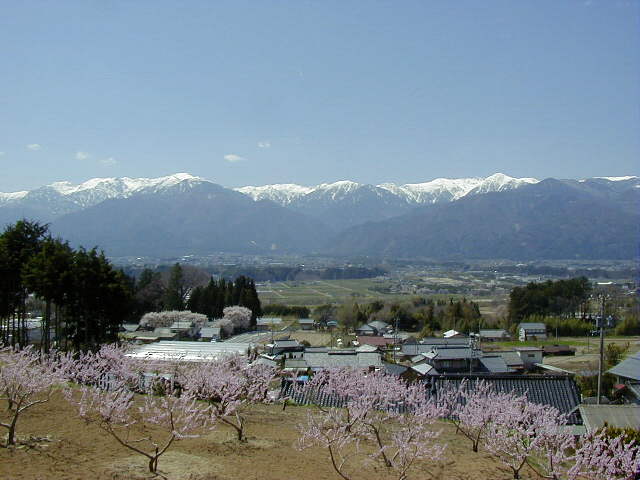 �����̉ԍ炭�i���ɓ߂ɂāj��