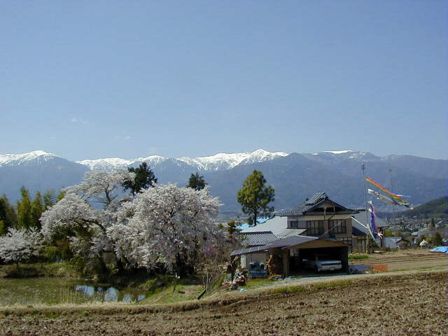 �����炫��̂ڂ�j���i���ɓ߂ɂāj��