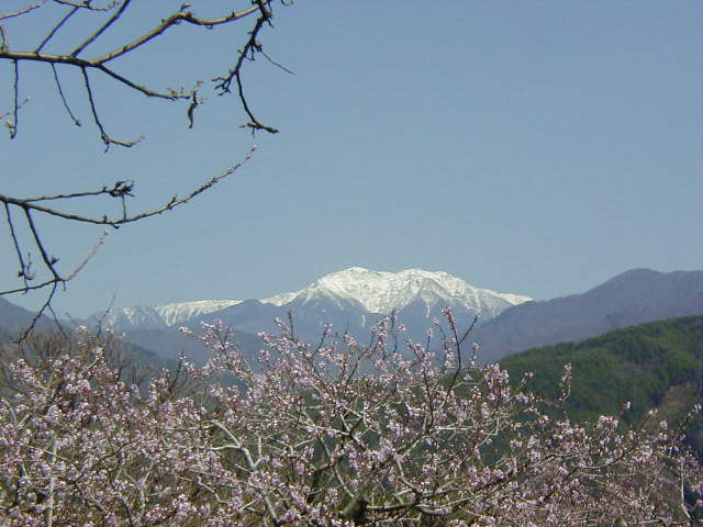 ����A���v�X���x��