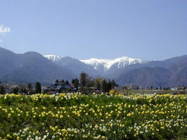 ������ƒ����A���v�X�i�k���ɂāj��