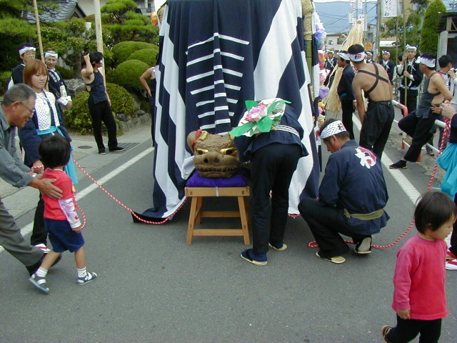 �����q��