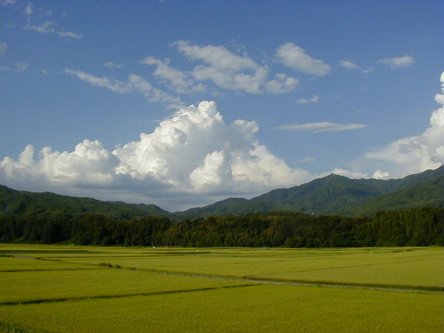 ◆高烏谷山遠望◆