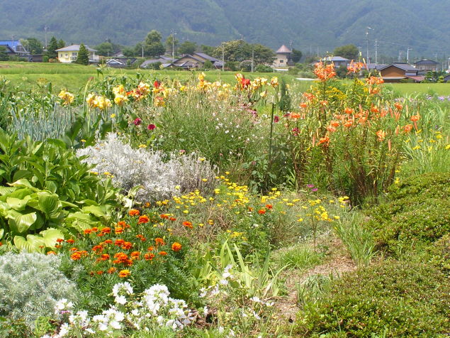 ◆夏の庭◆