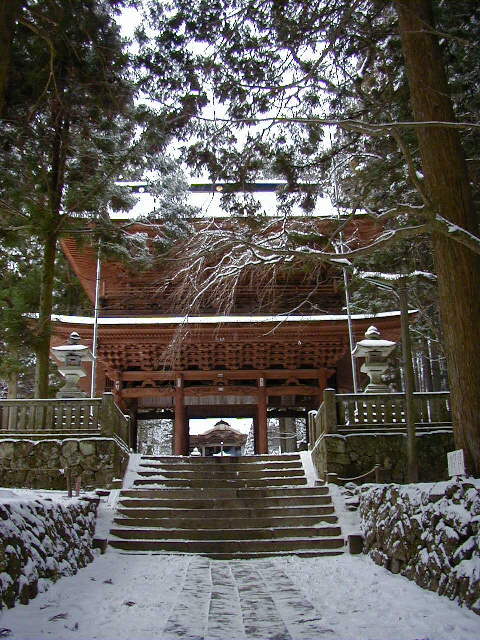 �����O���R�偟