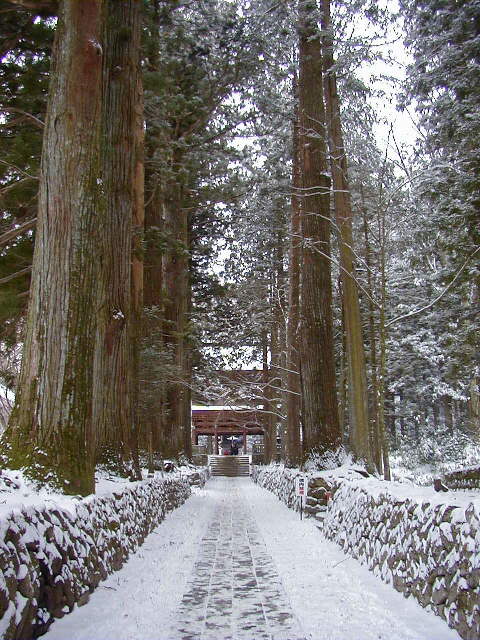 �����O���Q����