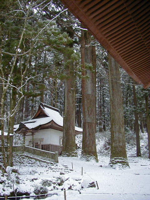 �����O���O�{���ƌo����