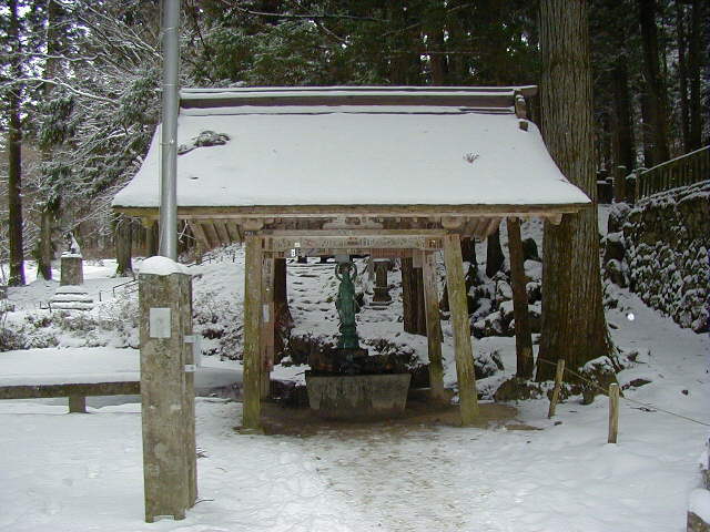 �����O����������