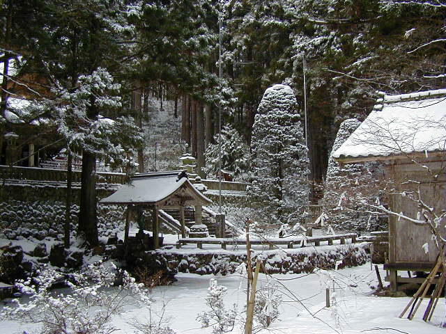 �����O��  �r��