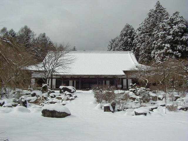 �����O���u����