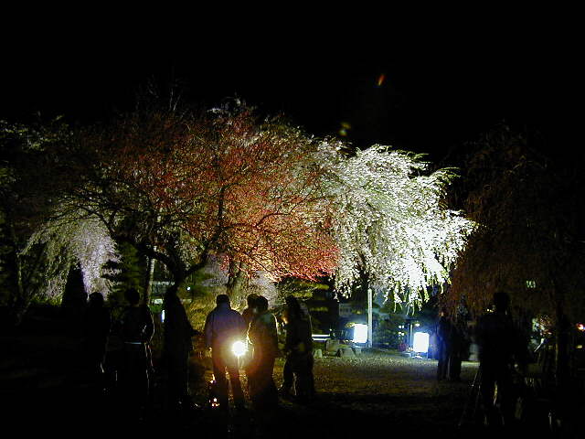 �����O���u���O��