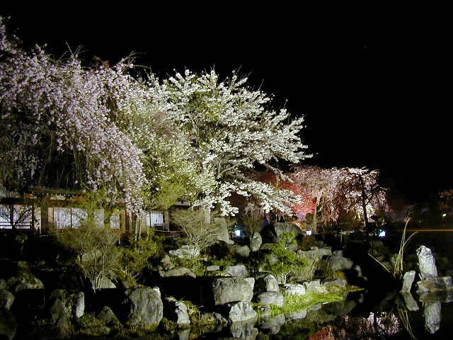 �����O���u���O��